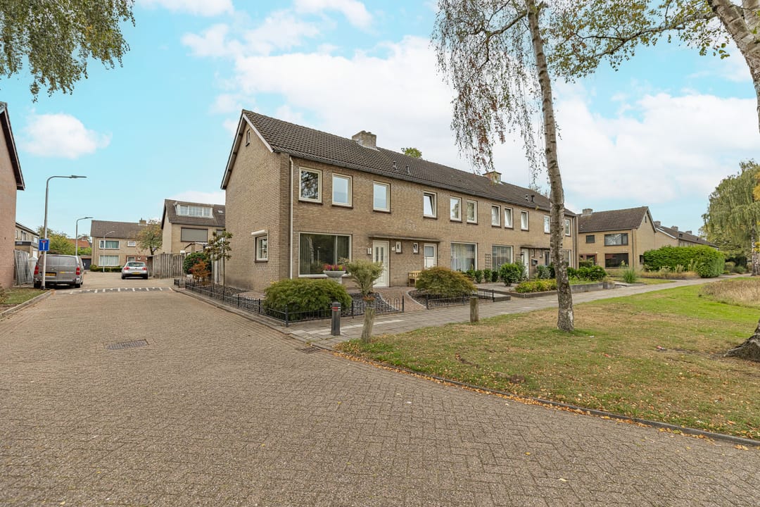 Foto 38 van Gele Berk 2