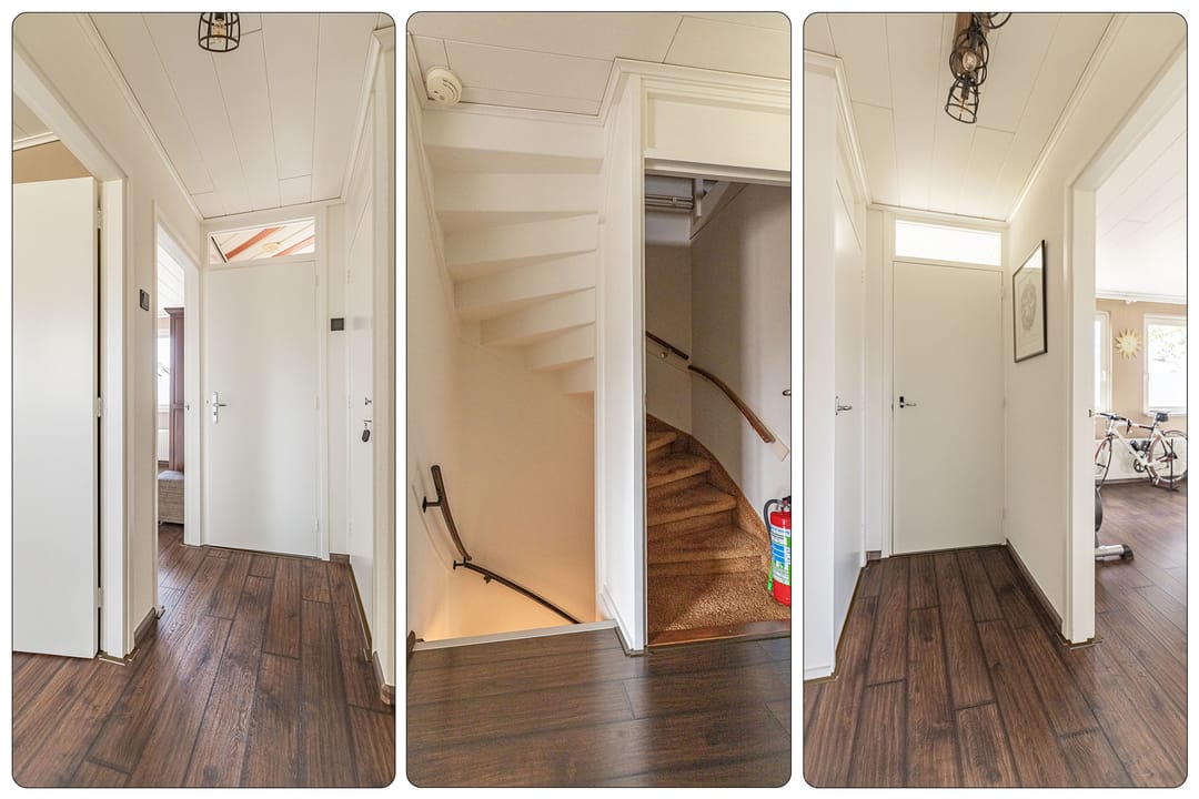 Foto 16 van Gele Berk 2