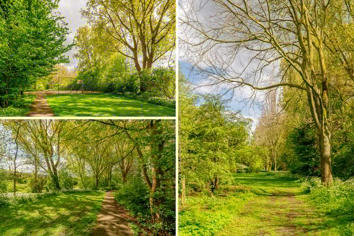 Foto 31 van Fideliolaan 52