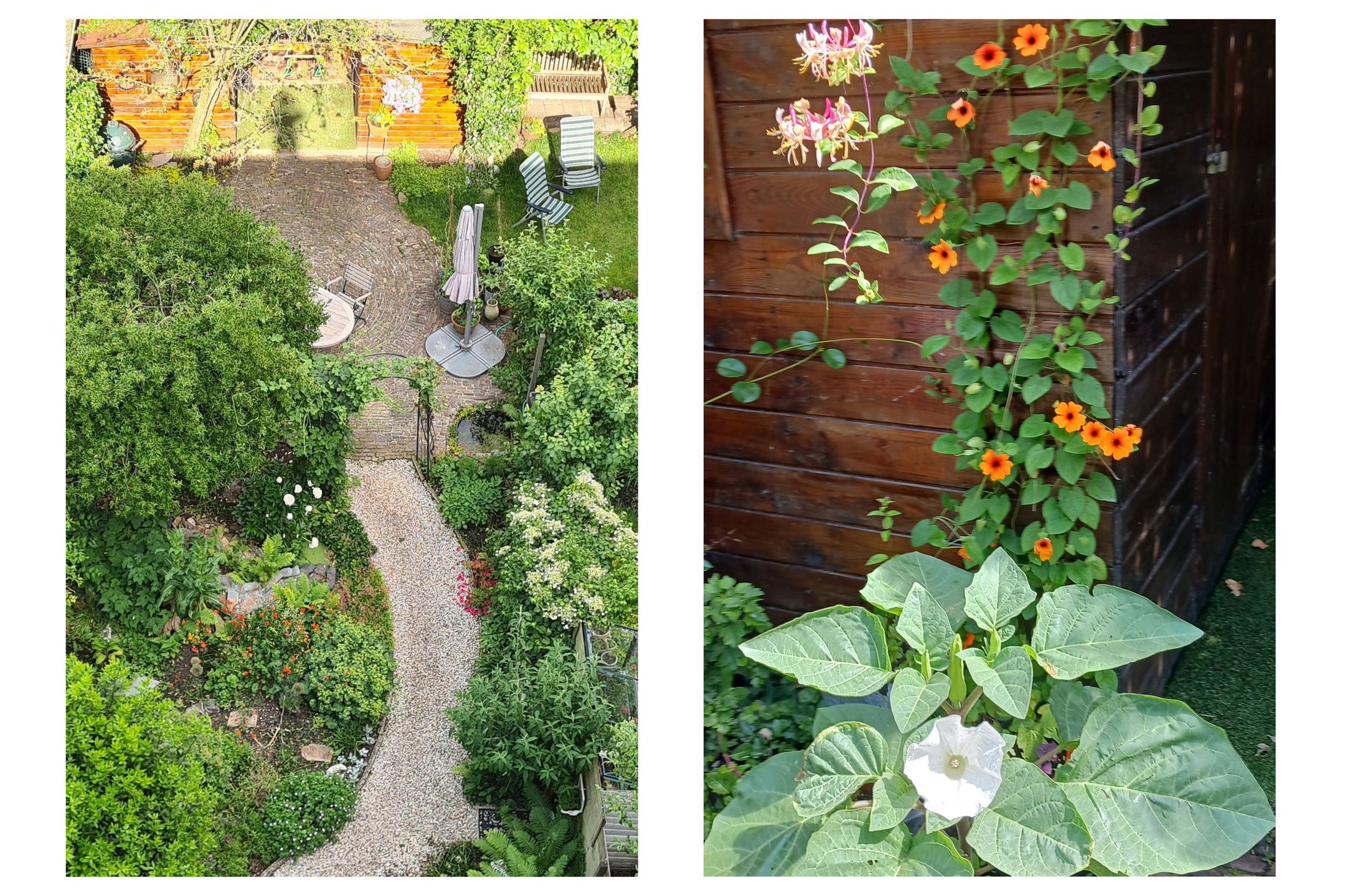 Foto 33 van Henegouwerlaan 38-A