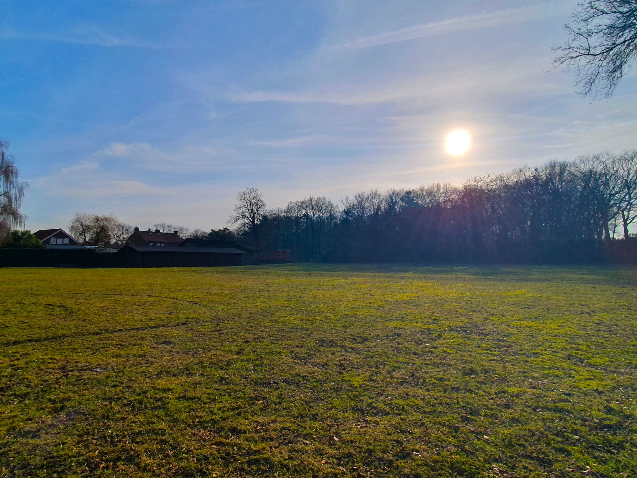 Photo 9 of Meidoornweg