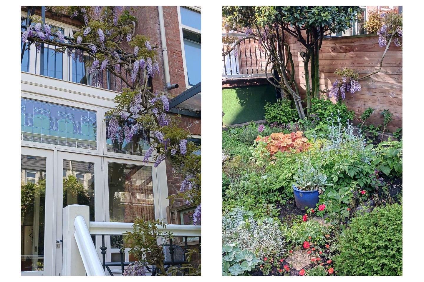 Foto 35 van Henegouwerlaan 38-A