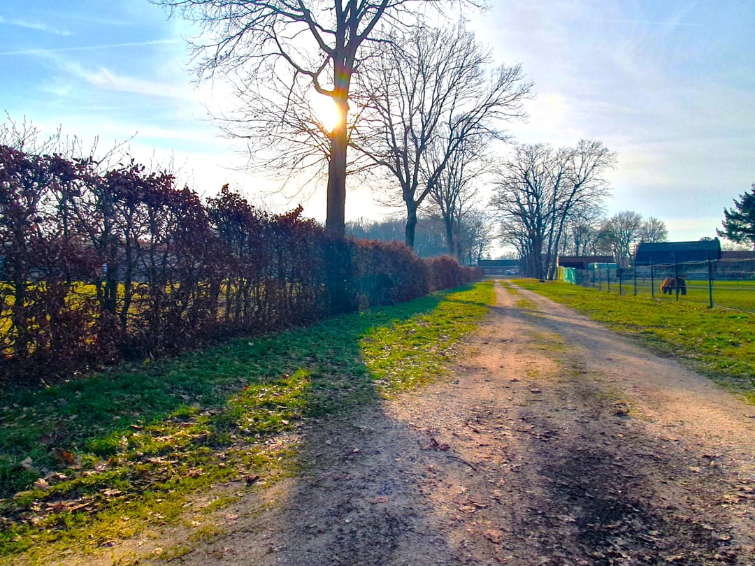 Photo 11 of Meidoornweg