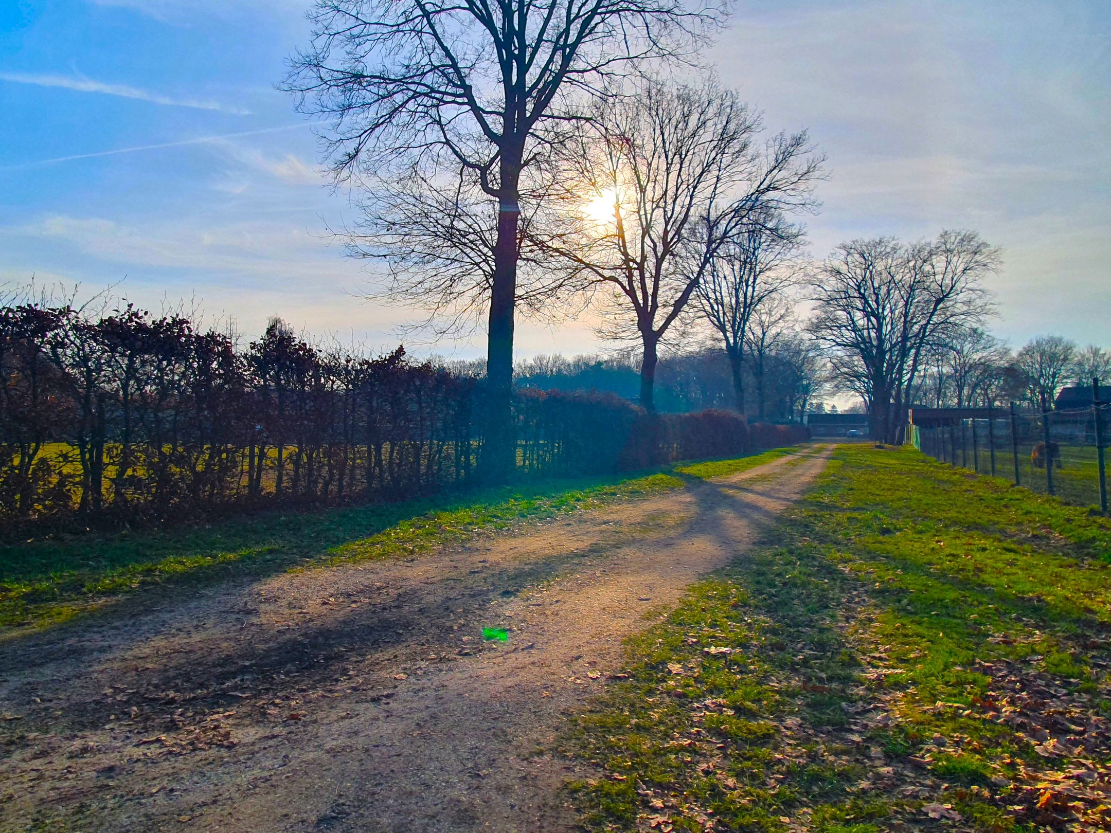 Photo 12 of Meidoornweg