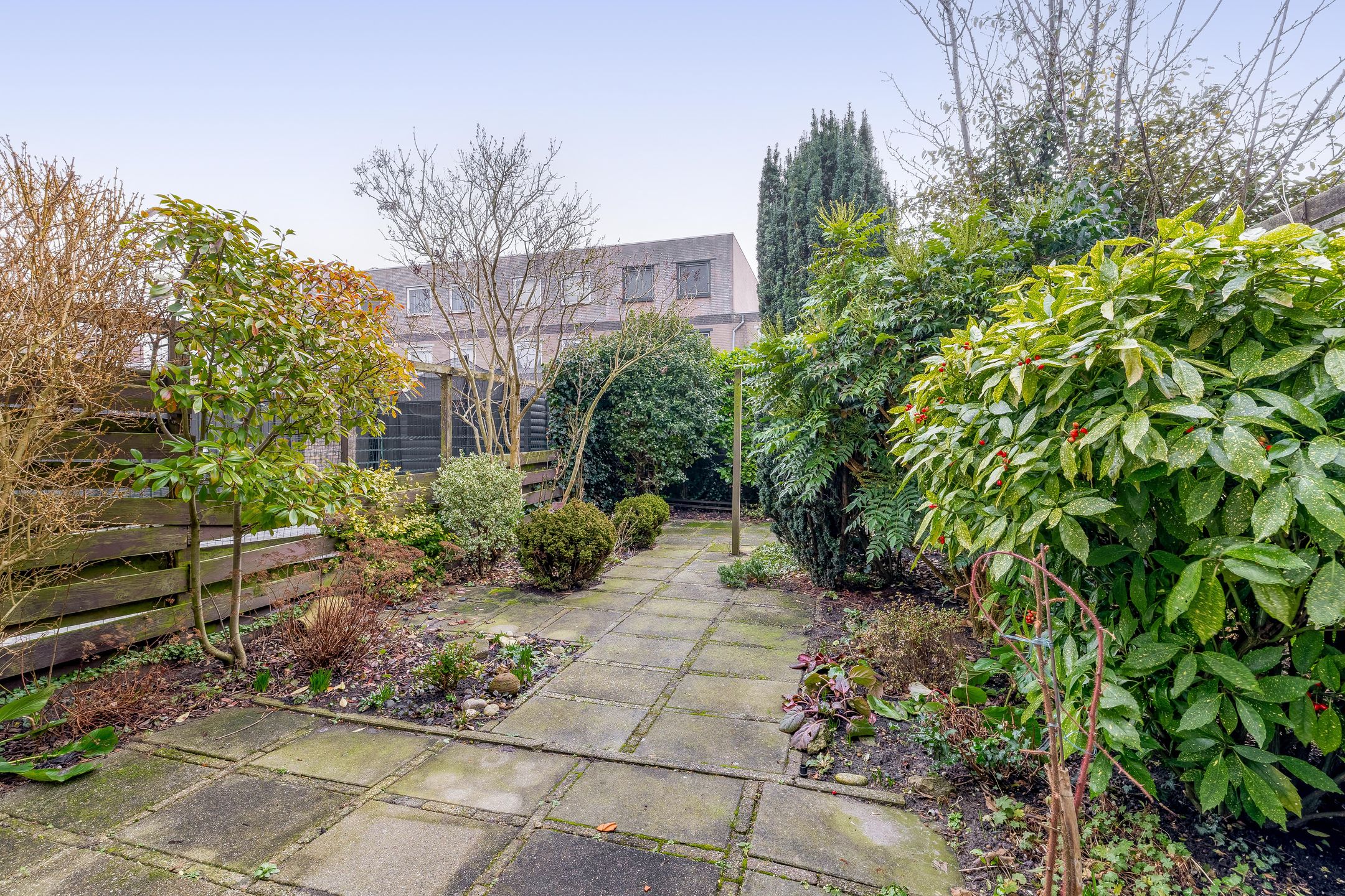 Photo 3 of S. Hartstraat 11