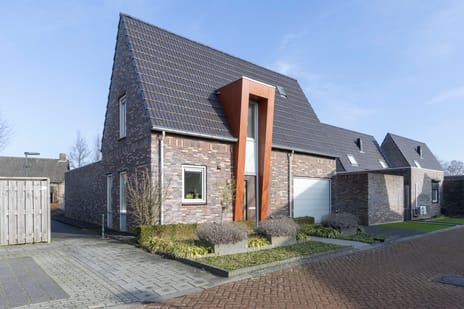 Reinenstraat thumbnail