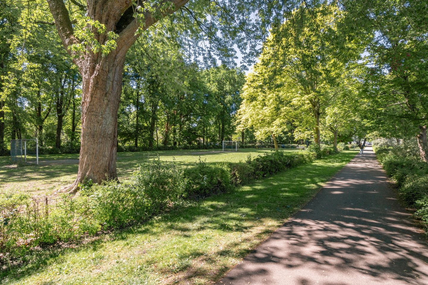 Foto 50 van De Maalkom 29