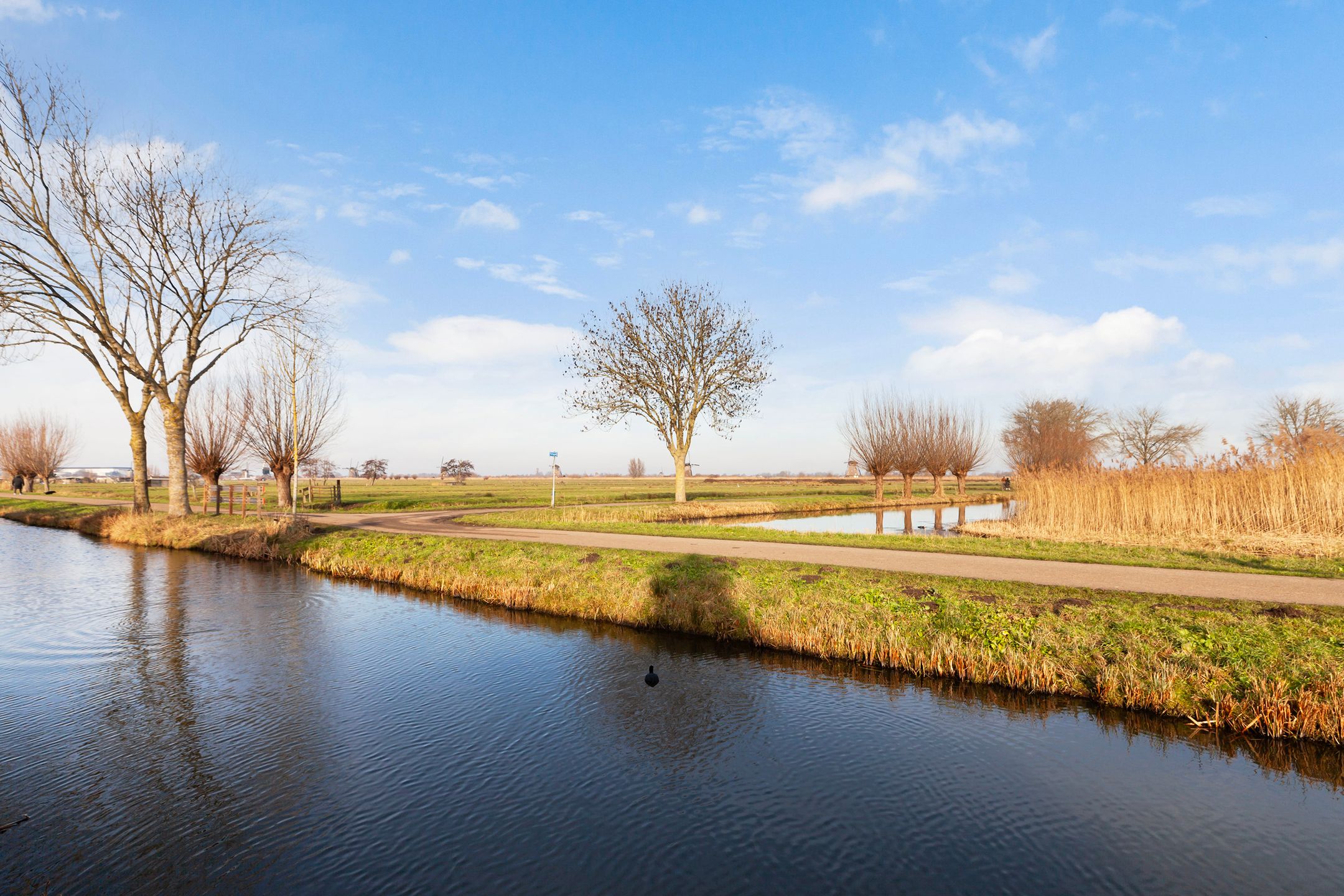 Foto 33 van Zeelt 168