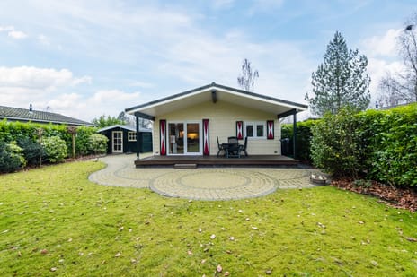 undefined main image