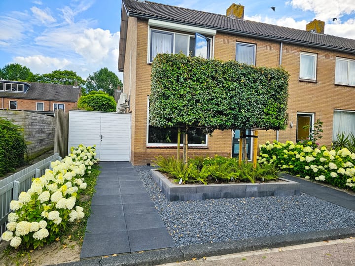 Boerhaavestraat 84 main image