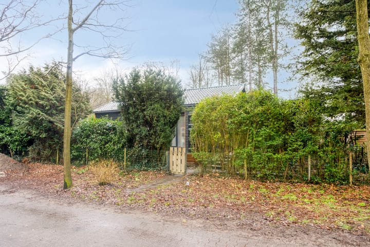 Foto 2 van De Stille Wille 82