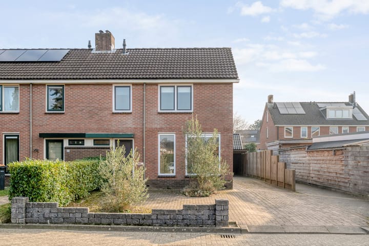 Foto 2 van Scholekster 41