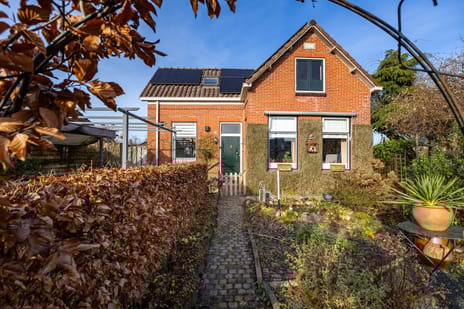 undefined main image