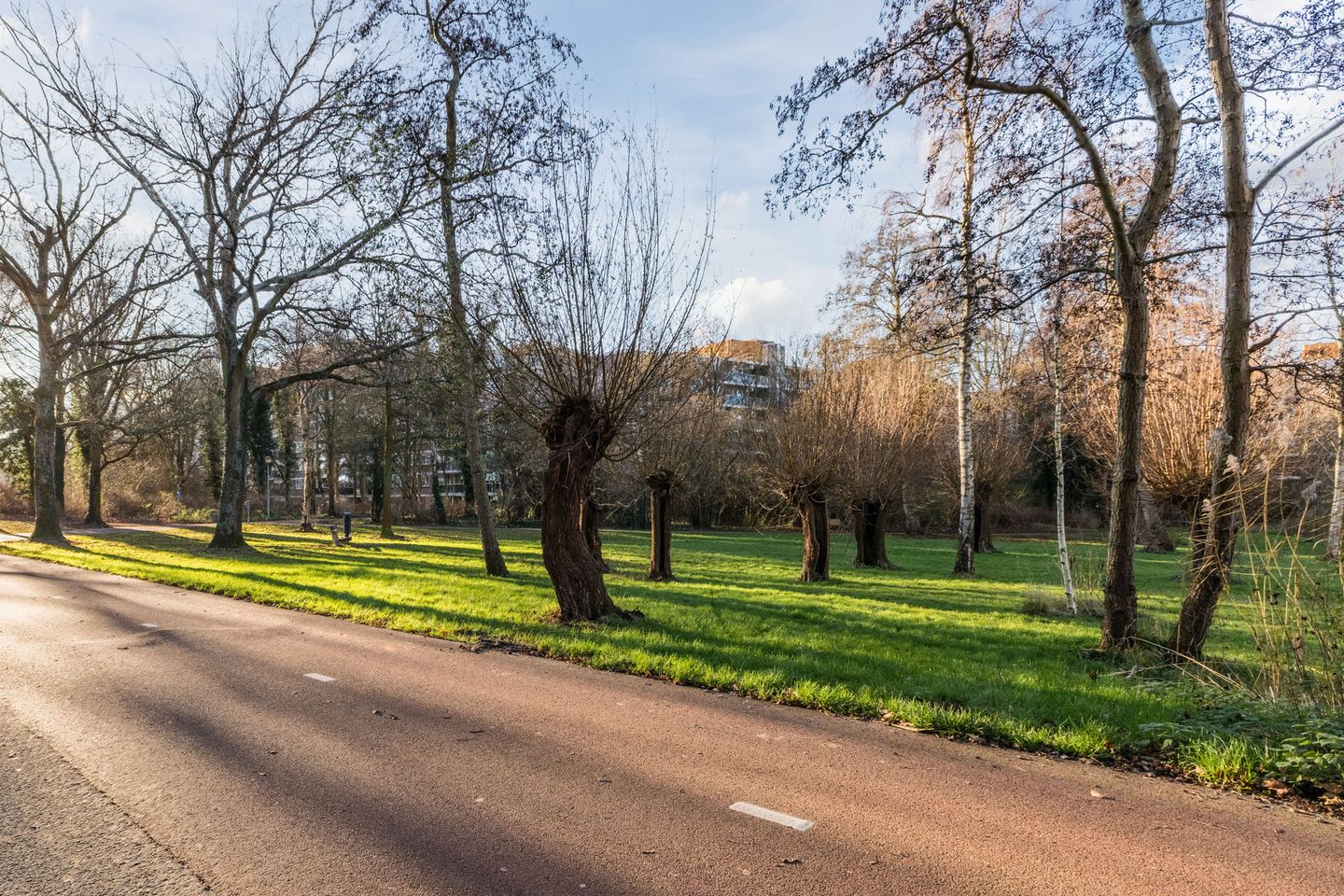 Foto 44 van Engelenburg 33