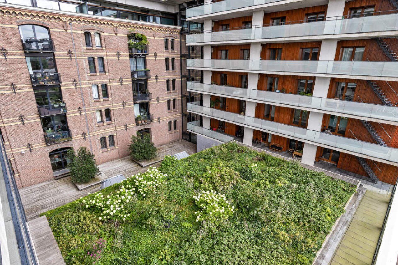 Foto 20 van Purperhoedenveem 58