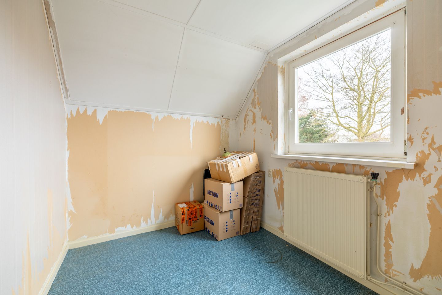 Foto 29 van Warder 169