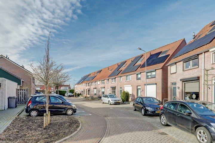 Foto 4 van Watervliet 51