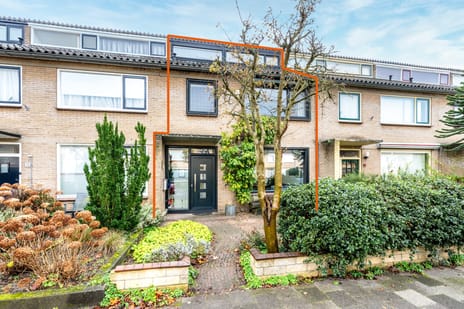 undefined main image