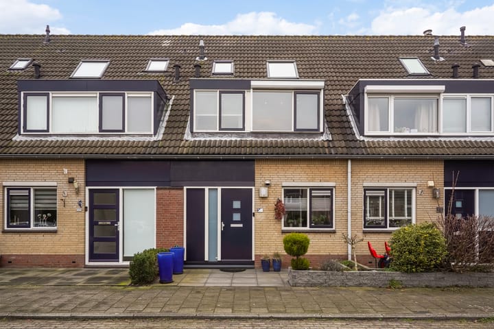 Foto 4 van Lisdodde 13