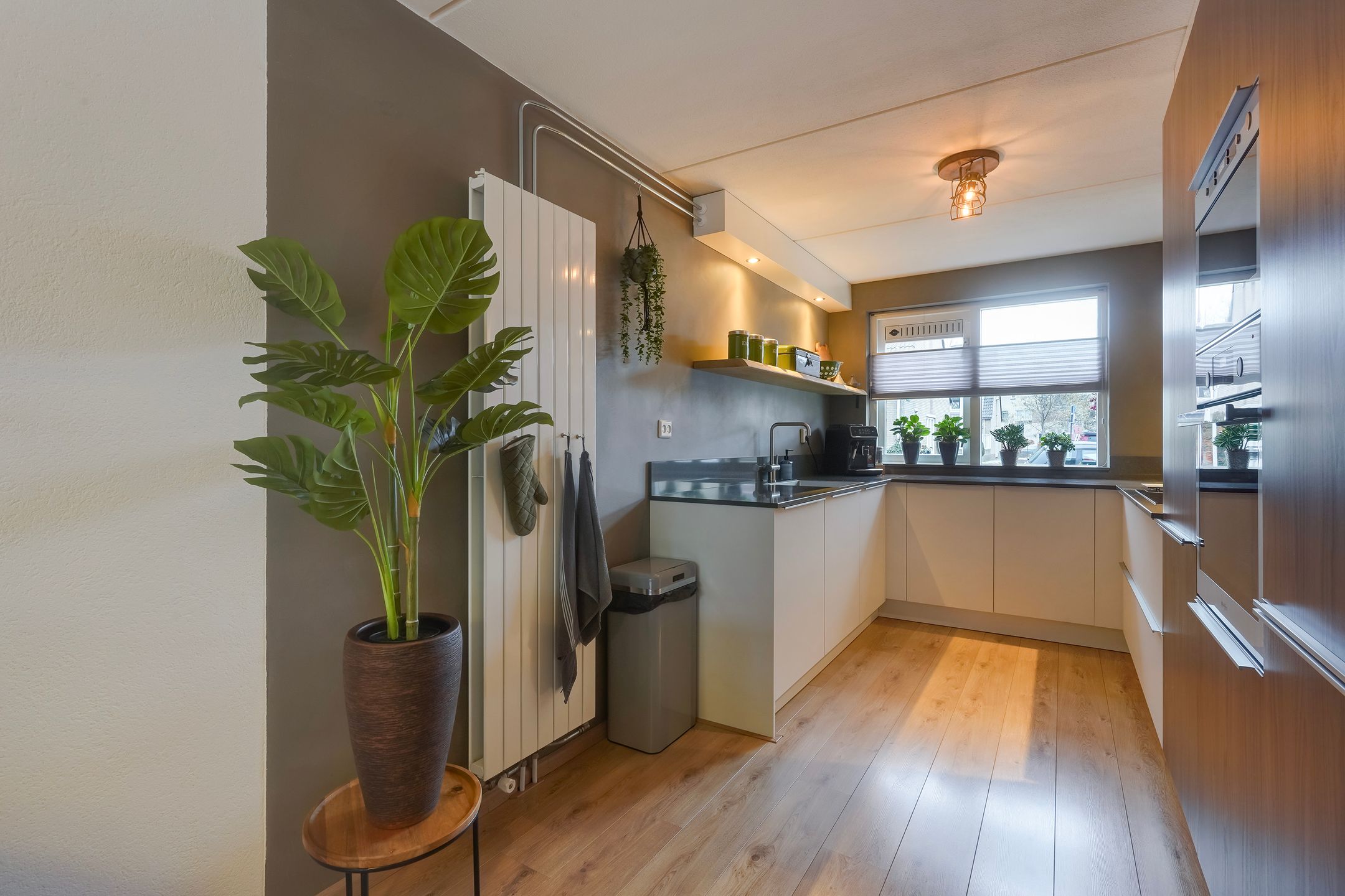 Photo 18 of Lisdodde 13