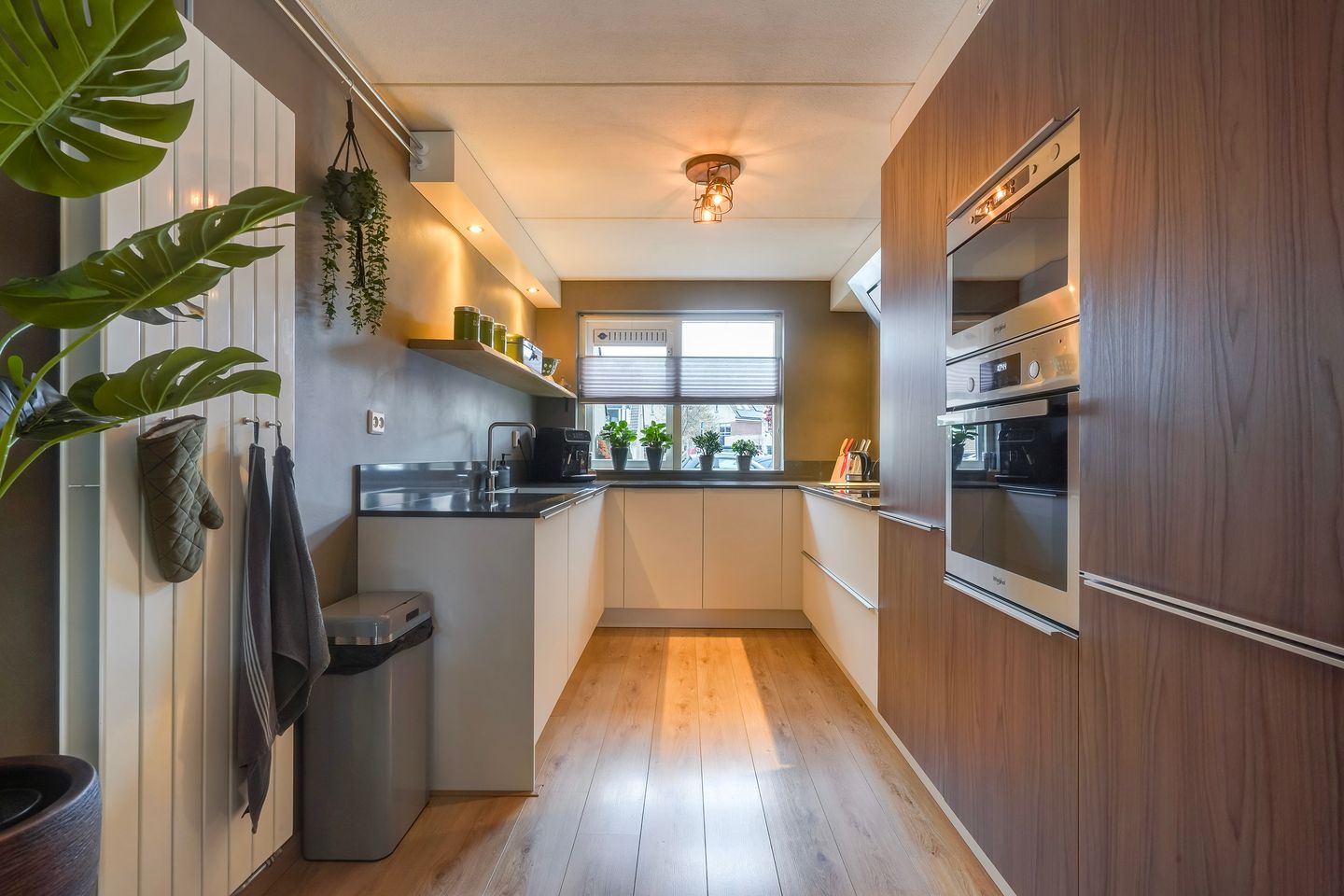 Photo 19 of Lisdodde 13