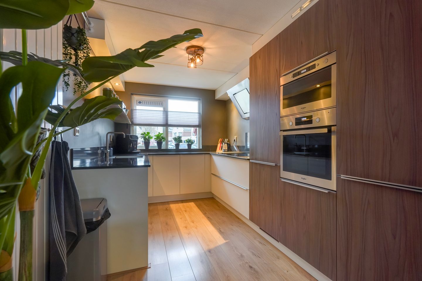 Photo 20 of Lisdodde 13