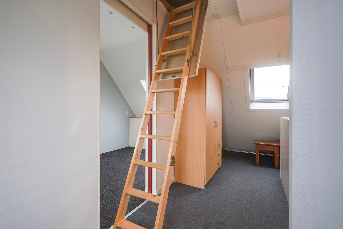 Photo 50 of Lisdodde 13