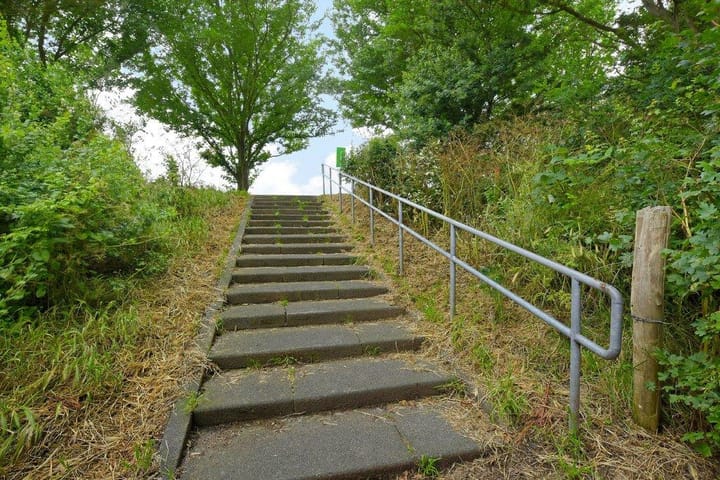 Photo 31 of Roggenplaat 45