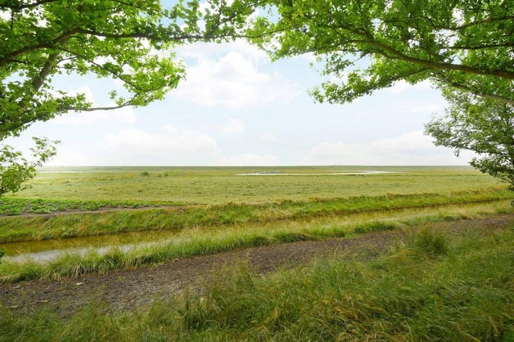 Photo 33 of Roggenplaat 45