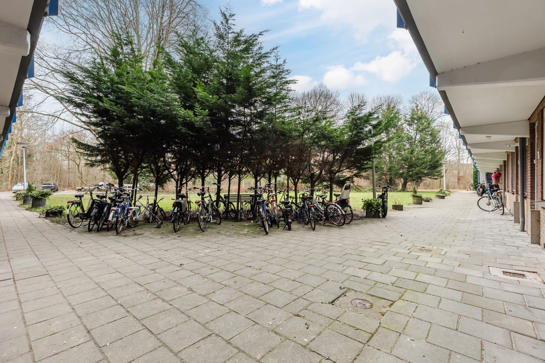 Photo 32 of Fluitekruidweg 70