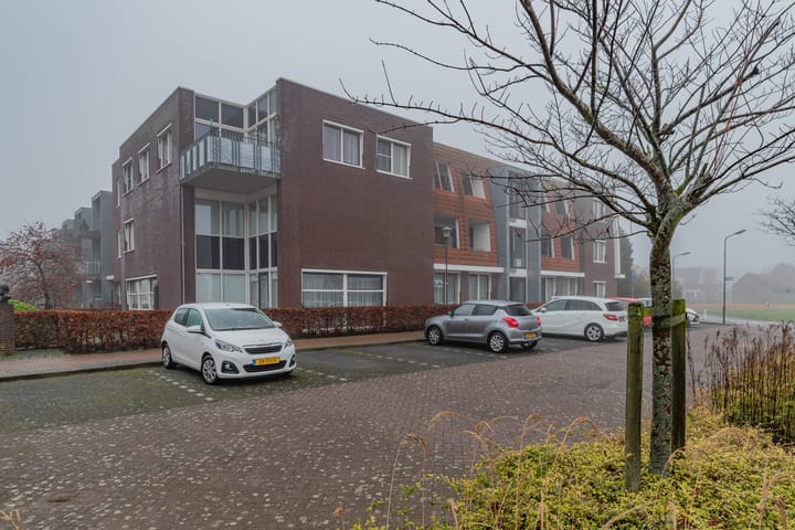 Foto 3 van Eduard Flipsepad 43