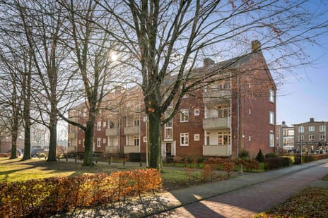 Herman Boerhaavelaan thumbnail