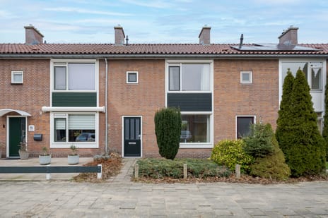 undefined main image