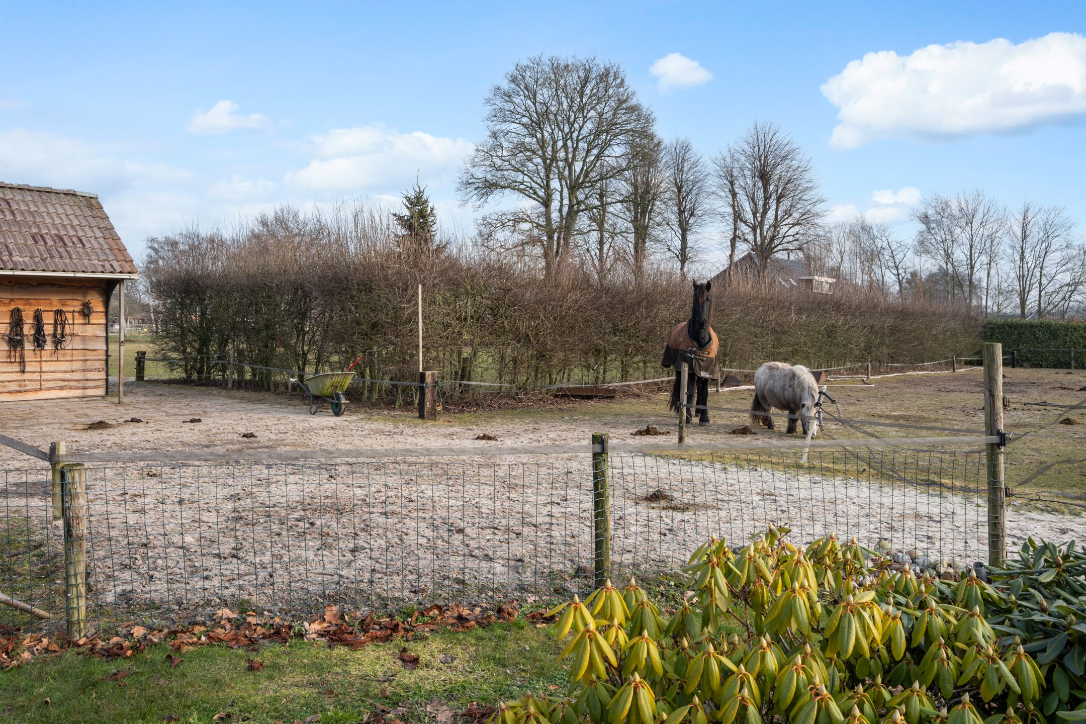 Photo 39 of Schoolpad 9