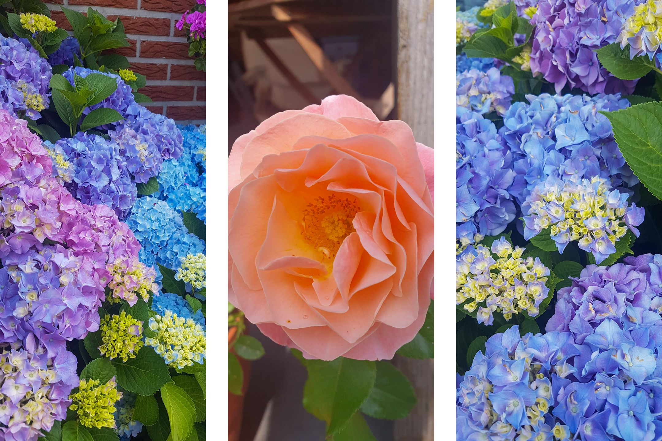 Photo 66 of Schoolpad 9