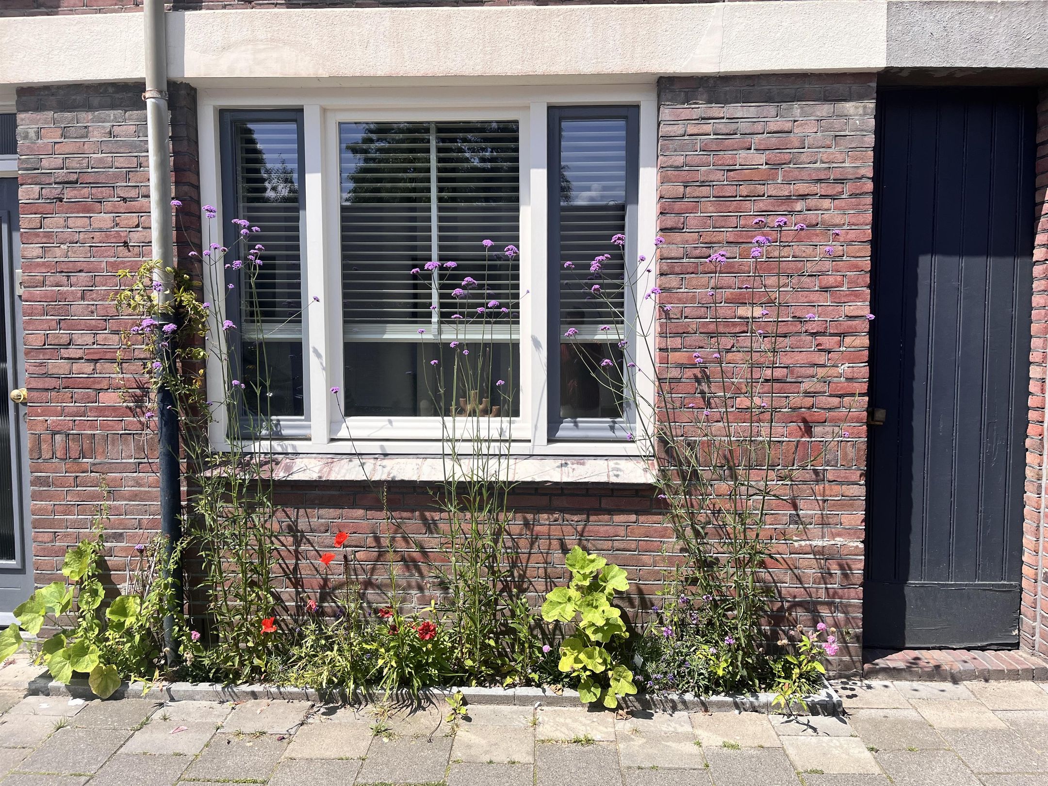 Photo 54 of Zilverlindestraat 9