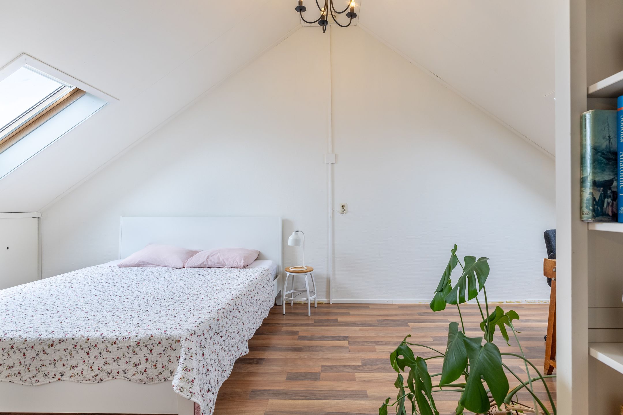 Foto 42 van Braksân 167