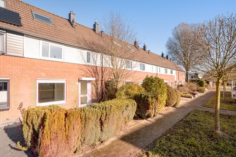 undefined main image