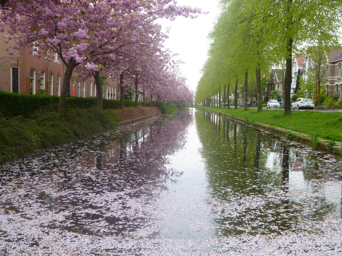 Photo 64 of Emmakade 1