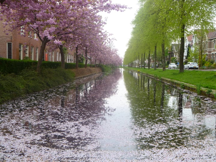 Photo 64 of Emmakade 1