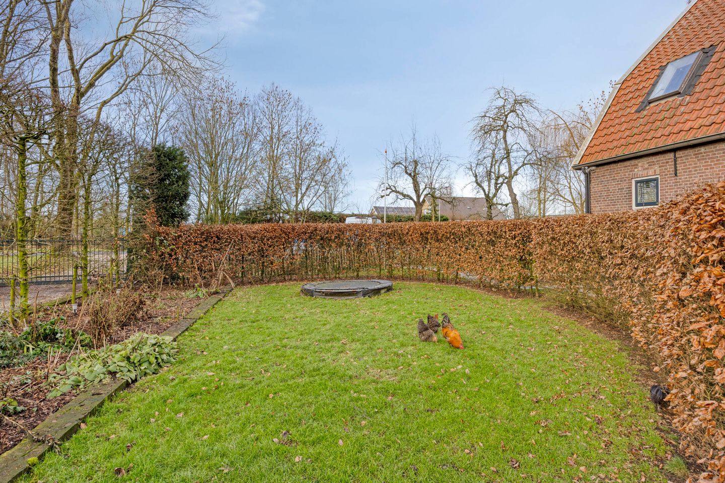 Photo 80 of Achterdijk 3