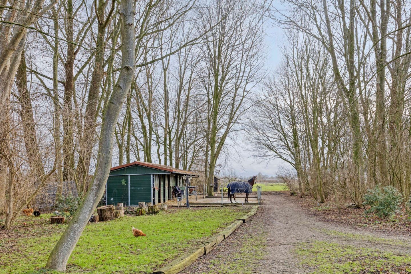 Photo 85 of Achterdijk 3