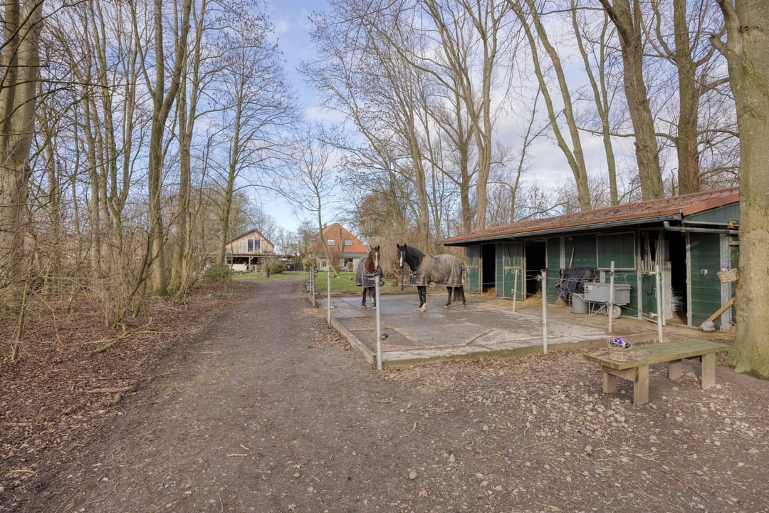 Photo 88 of Achterdijk 3