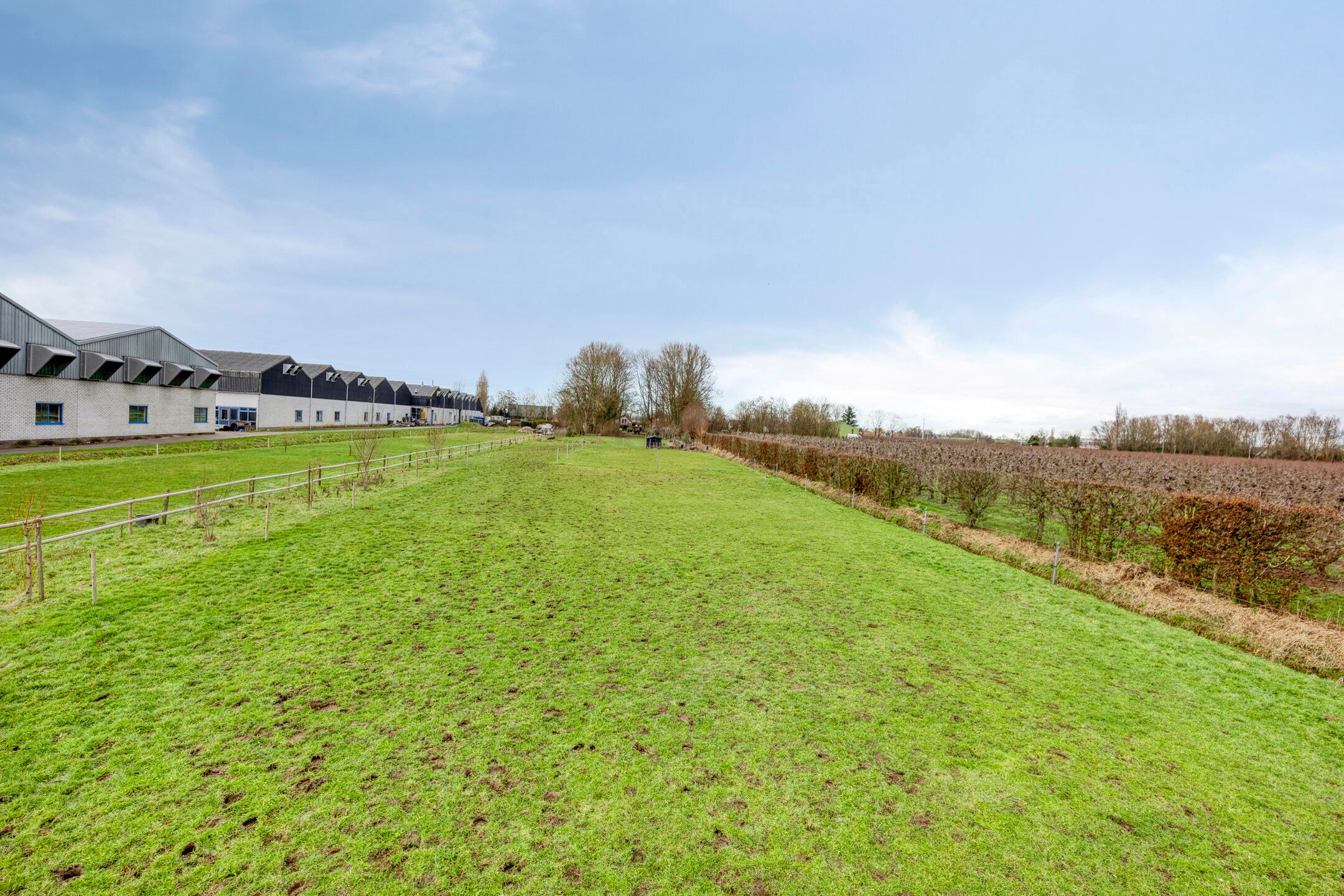 Photo 93 of Achterdijk 3