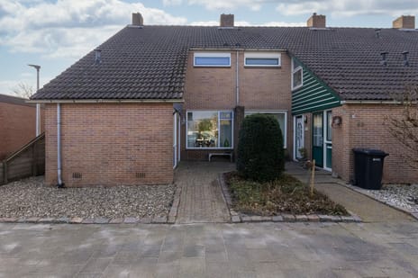 Europasingel thumbnail