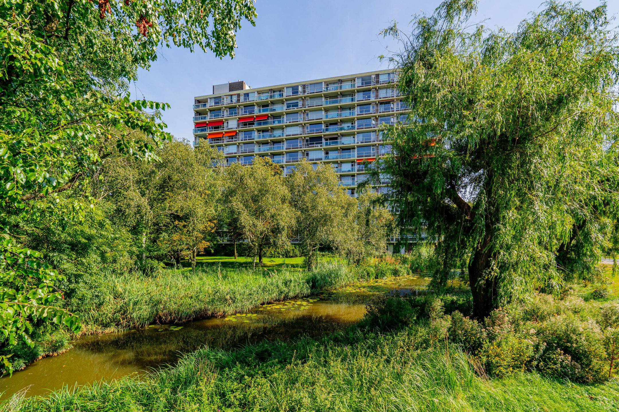 Foto 30 van Tobias Asserlaan 128