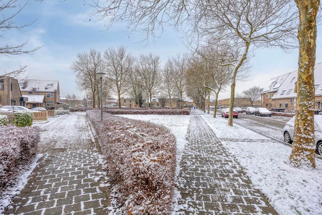 Foto 32 van Zilvermosstraat 12