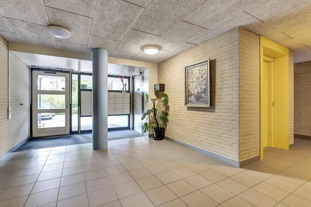 Photo 2 of Veldzuring 97