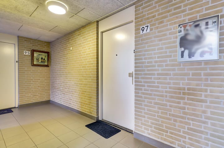 Foto 3 van Veldzuring 97