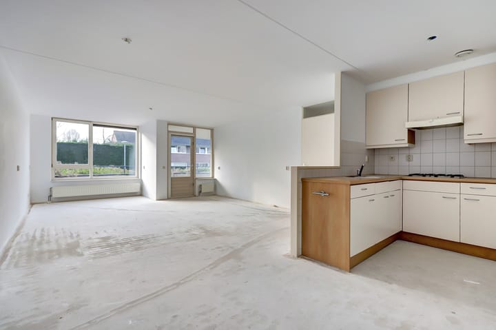 Foto 4 van Veldzuring 97